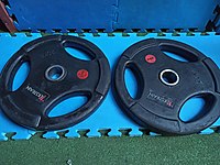 2x20KG OLİMPİK PLAKA