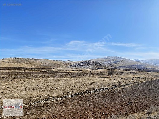 KAÇMAZzz KEMERDE SATILIK TEK TAPU TARLA ARAÇ TAKASLI #1139581991