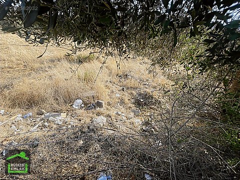 BODRUM ORTAKENT MERKEZDE SATILIK İMARLI ARSA