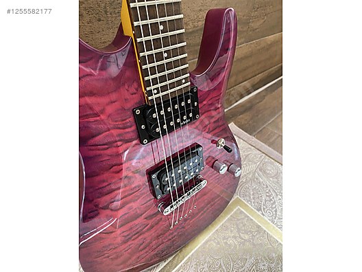 Schecter Elektro Gitar