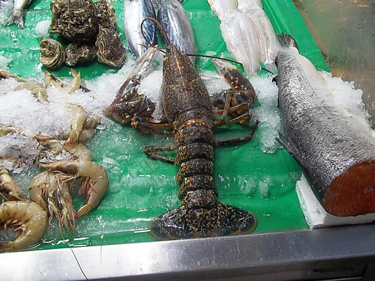 Used & Brand New Items / Cameras & Photographic Equipment / Video Cameras & Camcorders / Digital Camcorders / SD, MS Memory Card