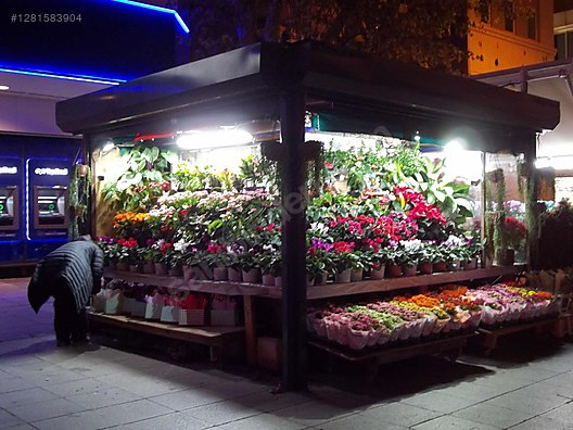 Used & Brand New Items / Cameras & Photographic Equipment / Video Cameras & Camcorders / Digital Camcorders / SD, MS Memory Card