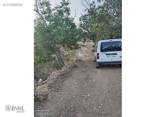 KİLİS ÇAKALLIPINARI VE MADENYOLU YATIRIMLIK BAĞ EVLİK YER #1233584350