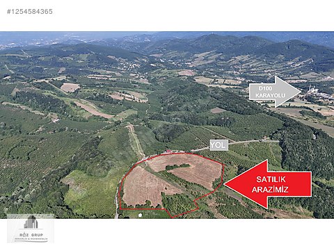 RÖZ EMLAK'TAN | HENDEK BEYLİCEDE 47 DÖNÜM SATILIK FIRSATT ARAZİİ #1254584365