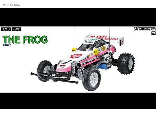 frog rc car