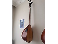 Uzun Sap Maun Bağlama