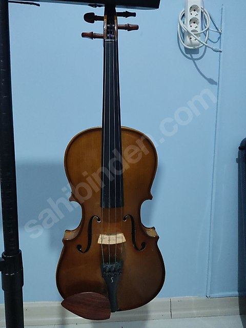 Stentor Marka Viyola