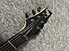 Schecter Elektro Gitar