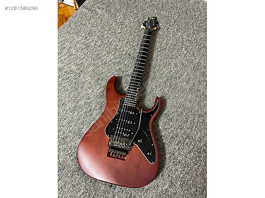 Schecter Elektro Gitar