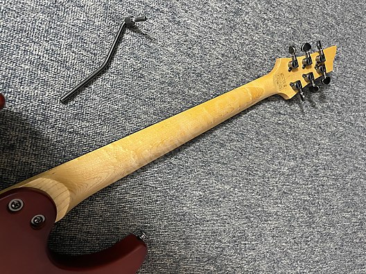 Schecter Elektro Gitar