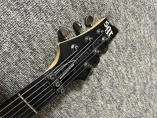 Schecter Elektro Gitar