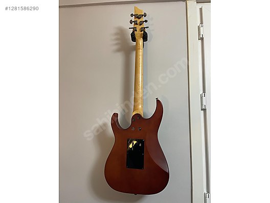 Schecter Elektro Gitar