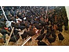 Pets & Livestock / Poultry & Fowl / Chickens