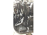 asfaltlama sinekkapan larvasi amfibi tohatsu 20 hp tekne motoru icin trigger kayisi digirolamoantonina com asfaltlama sinekkapan larvasi amfibi tohatsu 20 hp tekne motoru icin trigger kayisi digirolamoantonina com