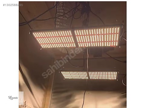 Tam Spektrumlu Bitki Yetiştirme Lambası R126X on sahibinden.com