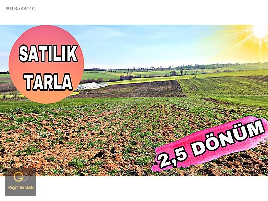 fakulte prensip geri zekali gibi balikesir de satilik tarla lonegrovedentist com