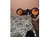 Used & Brand New Items / Cameras & Photographic Equipment / Binoculars