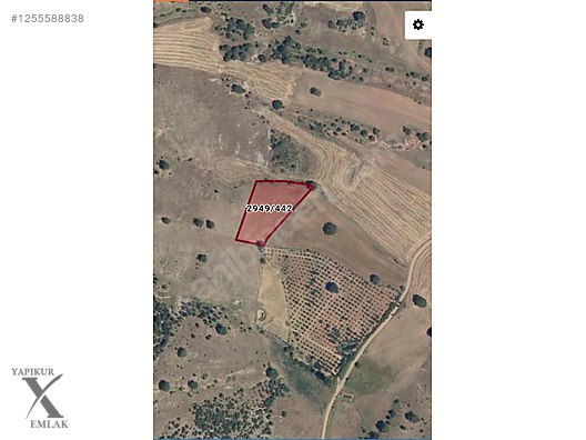 YAPIKUR GAYRİMENKULDEN DIŞKAYADA SATILIK TARLA #1255588838