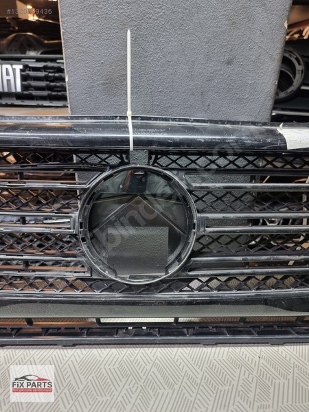 Mercedes G Panjur