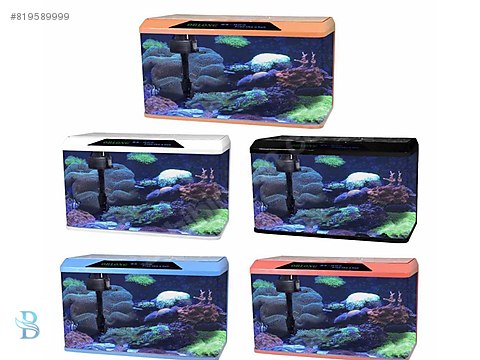 bulut akvaryum pet shop ithal akvaryum