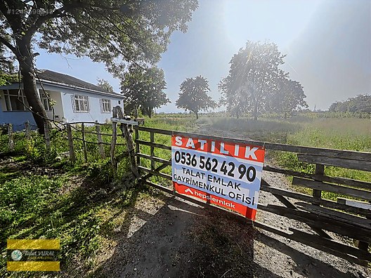 TALAT EMLAKTAN 19125 M2 FINDIKLIK #1248590243