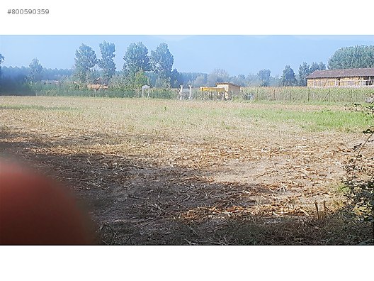 Duzce Merkez Ballica Koyu 9 Km Uzaklikta 4000 Metre Uygun Fiyat Satilik Arsa Ilanlari Sahibinden Com Da 800590359