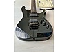 ESP Elektro Gitar