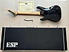 ESP Elektro Gitar