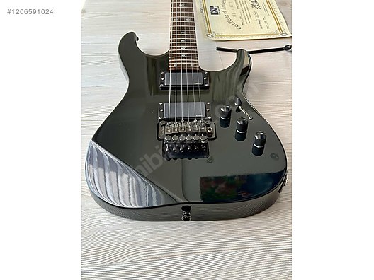 ESP Elektro Gitar