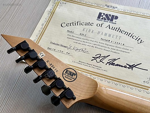 İkinci El ve Sıfır Alışveriş / Müzik / Müzik Aletleri / Telli Çalgılar / Gitar / Elektro