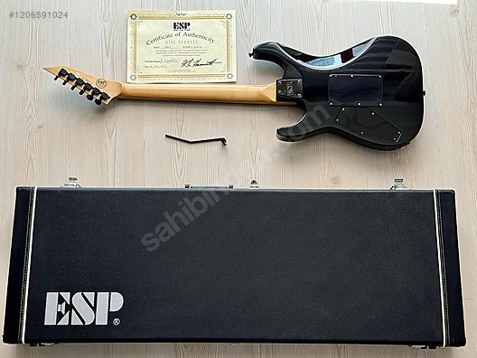 ESP Elektro Gitar