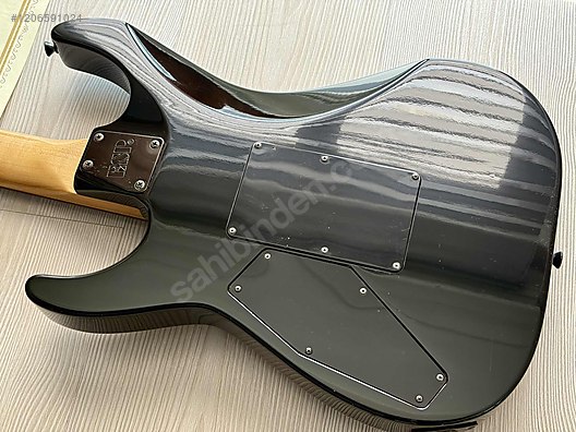 ESP Elektro Gitar