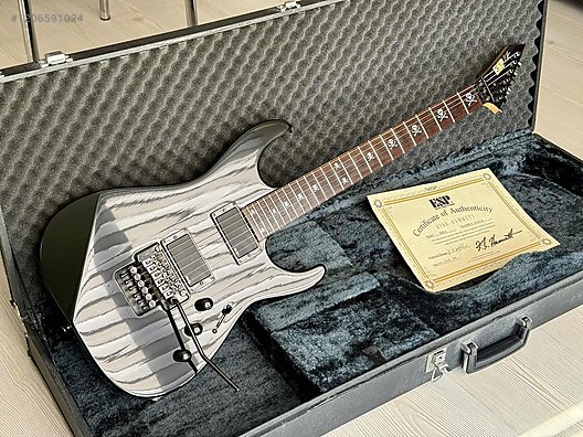 ESP Elektro Gitar