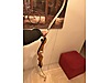 Used & Brand New Items / Sports / Athletics / Archery / Bow & Arrow Sets