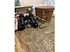 Used & Brand New Items / Sports / Nature Sports / Fishing / Fishing Supplies / Torches, Lamps & Binoculars