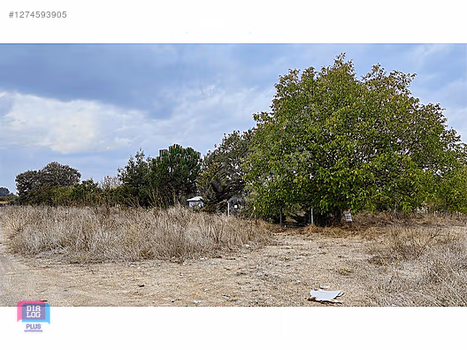 DİALOG PLUS'DAN NİLÜFER YAYLACIK'TA SATILIK TARLA #1274593905