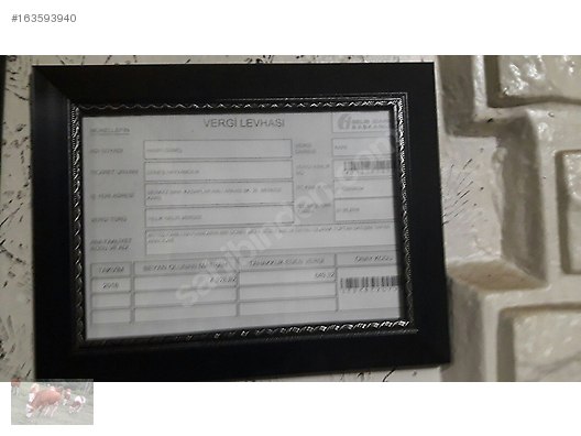 Pets & Livestock / Large Livestock / Bulls