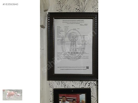 Pets & Livestock / Large Livestock / Bulls