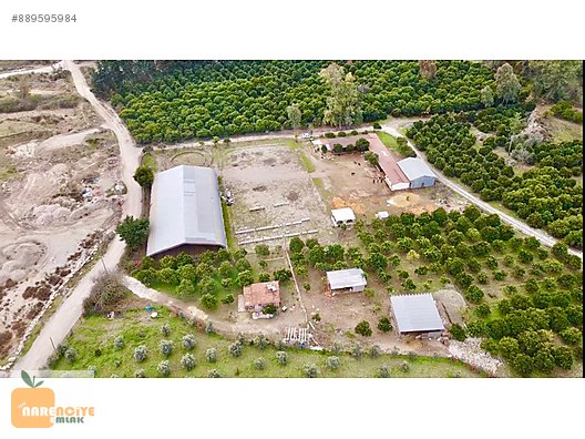 Antalya Kemer Goynuk Mustakil Tapu Satilik Ciftlik Narenciye Satilik Arsa Ilanlari Sahibinden Com Da 889595984