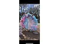 Cinsiyet belirleme partisi