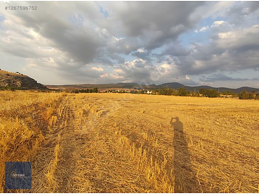 ÖZPINAR,DAN ÇAVUŞ KÖYÜ SATILIK KÖŞE TARLA YOLU VAR 5625 M2 #1267596752