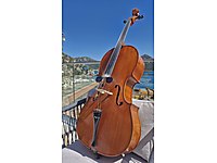 Küçükkaya çello (2012)