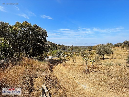 NİLÜFER SINIRI GÖL MANZARALI RESMİ YOLA CEPHE KÖYE YAKIN #1134602496