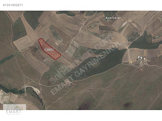 Tekirdağ Ergene Ahimehmet'te Tek Tapu 18.312 m2 Satılık Tarla #1241602671