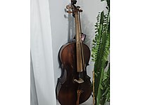 Dominguez Tam boy Çello