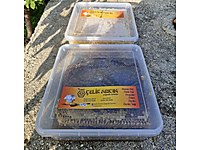 ÇİÇEK VE ÇAM PETEK BALI ( 1 KG + 1 KG )