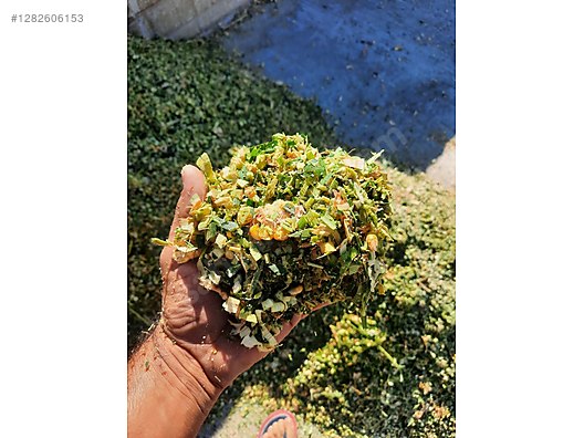 Pets & Livestock / Foods & Feeds / Small & Large Livestock / Feed