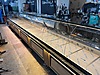 Machinery / Industrial /  Industrial Kitchen / Food Cooling & Keeping