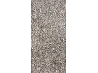 A kalite ay çekirdeği