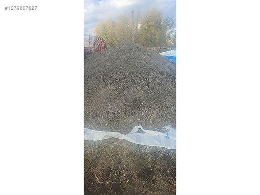 İkinci El ve Sıfır Alışveriş / Yiyecek & İçecek / Kuruyemiş